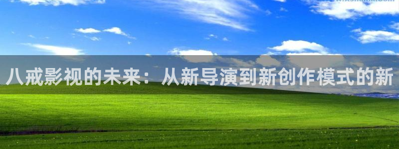 新闻图片