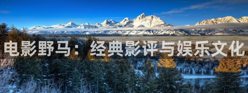 青苹果乐园电视剧在线观看免费