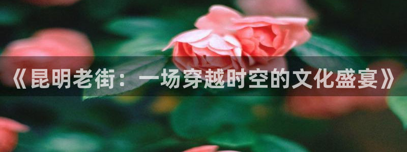 青苹果影视韩国