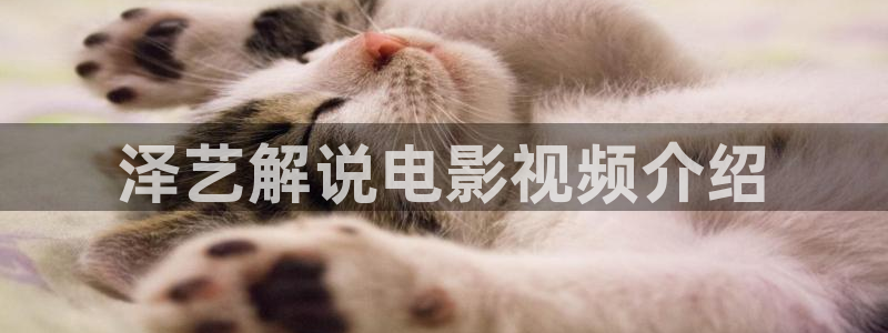 青苹果乐园在线高清免费观看电视剧