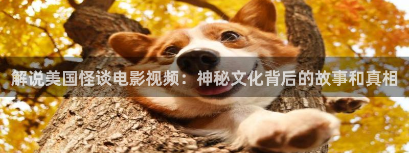 青苹果在线观看视频