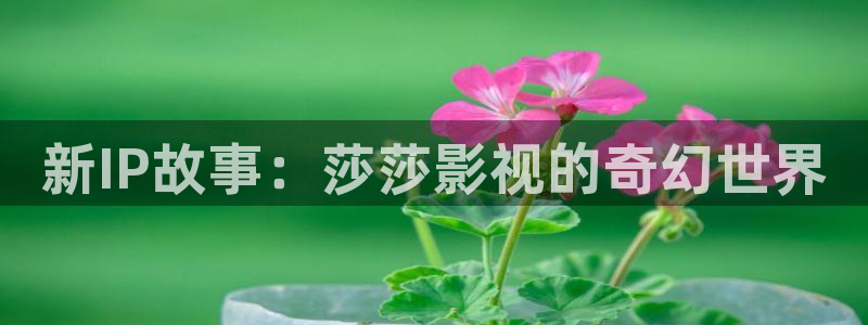 青苹果乐园免费观看电视剧高清yy48