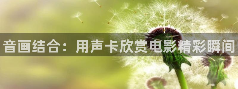 青苹果乐园影院电视剧免费播放vip
