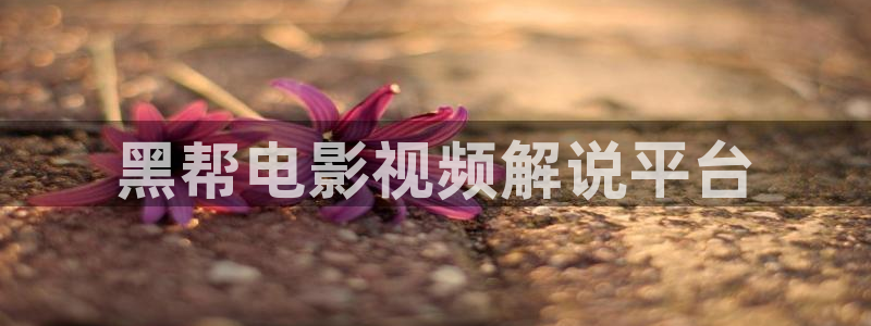 青苹果私人影院无毒不卡